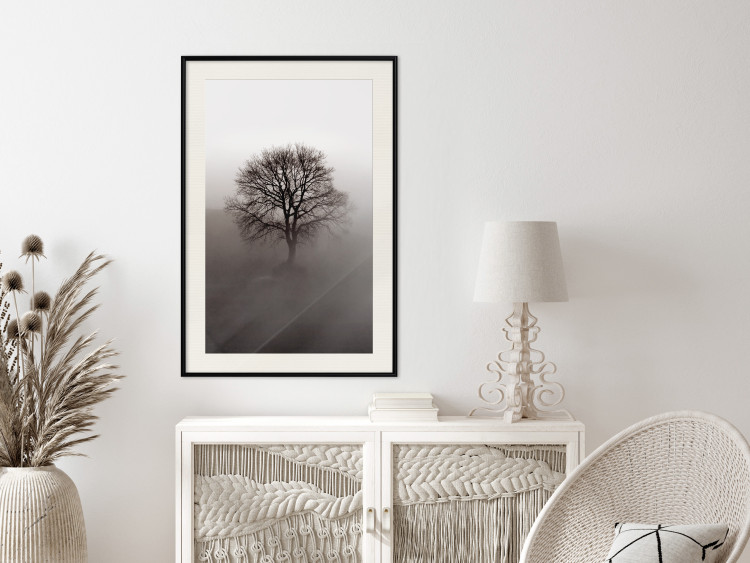 Wall Poster Power Dormant in a Tree - landscape of a leafless tree in thick fog 130245 additionalImage 24