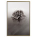 Wall Poster Power Dormant in a Tree - landscape of a leafless tree in thick fog 130245 additionalThumb 17