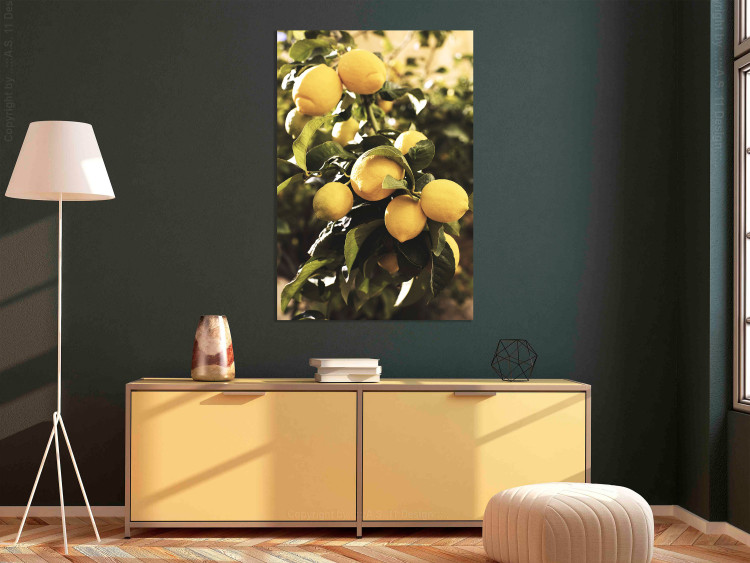 Canvas Lemon tree - Photo of twigs of trees with ripe fruits 135845 additionalImage 3