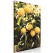 Canvas Lemon tree - Photo of twigs of trees with ripe fruits 135845 additionalThumb 2