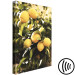 Canvas Lemon tree - Photo of twigs of trees with ripe fruits 135845 additionalThumb 6