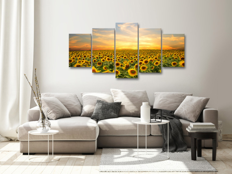 Canvas Print Sunflowers in the Morning (5 Parts) Wide 137245 additionalImage 3