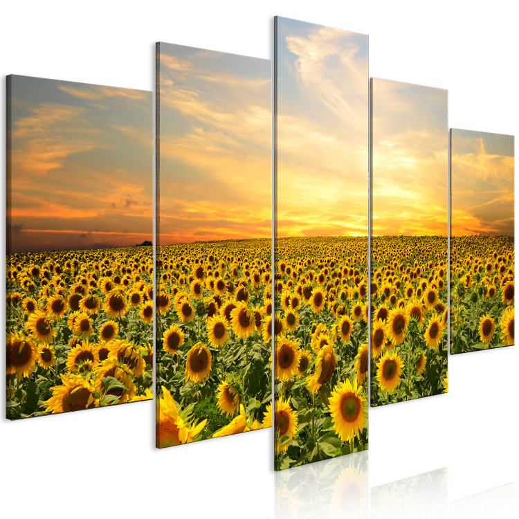 Canvas Print Sunflowers in the Morning (5 Parts) Wide 137245 additionalImage 2