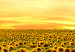 Canvas Print Sunflowers in the Morning (5 Parts) Wide 137245 additionalThumb 4