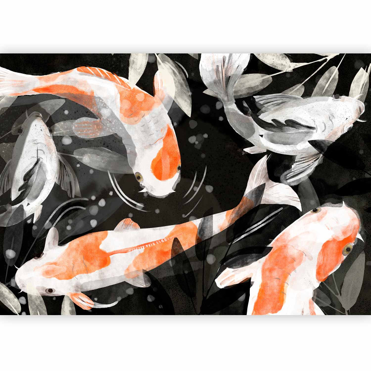 Photo Wallpaper Asian animals - Japanese Koi fish in water on black background 138245 additionalImage 1