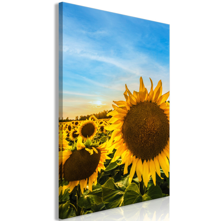 Canvas Print Flowers of Peace (1-piece) Vertical - sunflowers in a vast field 142445 additionalImage 2