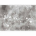 Wall Mural Blowers and wind - flowers on a non-uniform background in grey tones 143545 additionalThumb 1