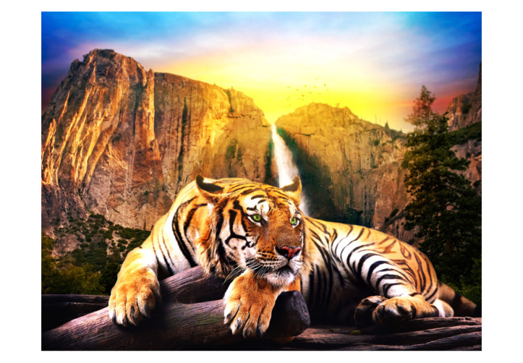 Wall Mural Tranquility of Nature - beautiful tiger lying on rocks by a waterfall 59745 additionalImage 1