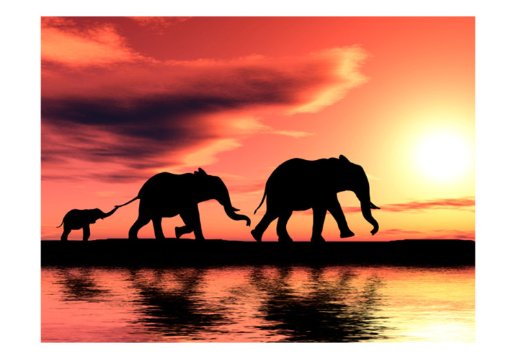 Wall Mural Elephants: family 61345 additionalImage 1