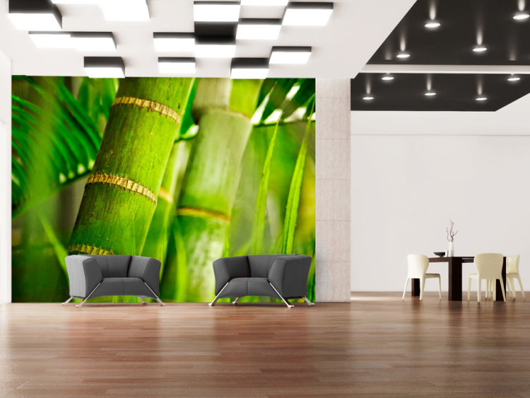 Wall Mural Japanese Theme - Energetic Oriental Style with Macro Shot of Bamboo 61445