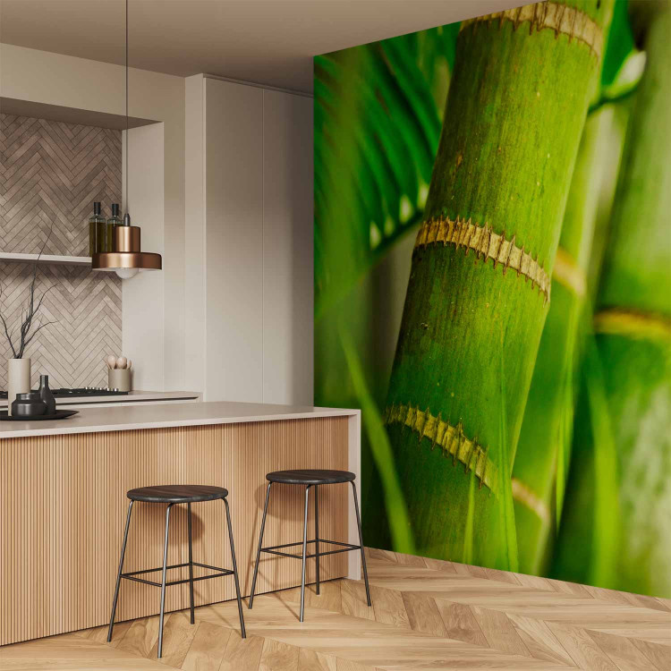 Wall Mural Japanese Theme - Energetic Oriental Style with Macro Shot of Bamboo 61445 additionalImage 7