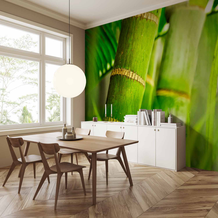Wall Mural Japanese Theme - Energetic Oriental Style with Macro Shot of Bamboo 61445 additionalImage 4