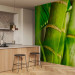 Wall Mural Japanese Theme - Energetic Oriental Style with Macro Shot of Bamboo 61445 additionalThumb 7