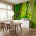 Wall Mural Japanese Theme - Energetic Oriental Style with Macro Shot of Bamboo 61445 additionalThumb 4