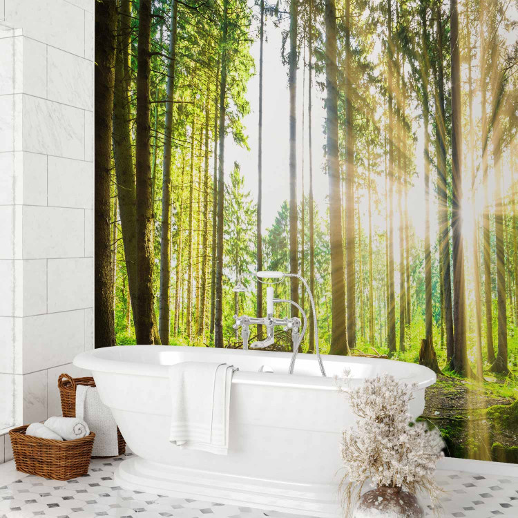 Wall Mural Forest Tales 98045 additionalImage 8