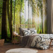 Wall Mural Forest Tales 98045 additionalThumb 2