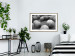 Wall Poster Stone balls - black and white composition with stones on dark soil 115055 additionalThumb 13