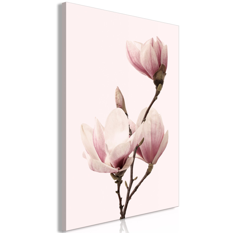 Canvas Breath of Spring (1-part) - Pink Magnolia Flower in Nature's Shade 117155 additionalImage 2