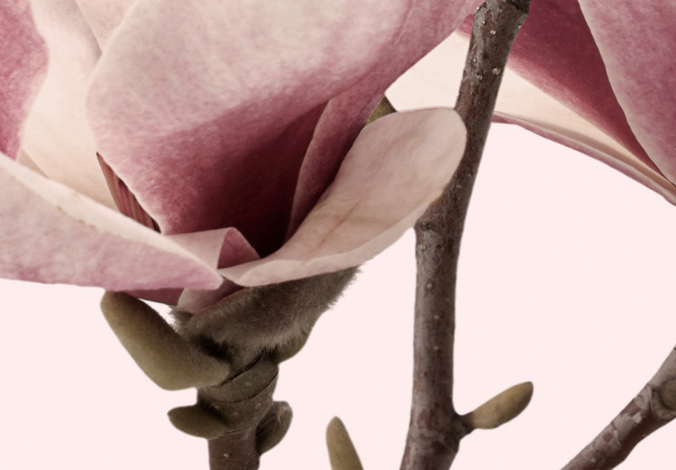 Canvas Breath of Spring (1-part) - Pink Magnolia Flower in Nature's Shade 117155 additionalImage 5