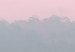 Canvas Fog in the morning - a pastel, romantic landscape in roses and greens 119155 additionalThumb 4