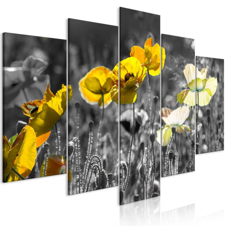 Canvas Yellow Poppies (5 Parts) Wide 123055 additionalImage 2