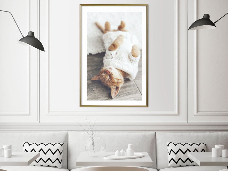 Poster Lazy Cat - brown animal in a white sweater on a wooden floor 124455 additionalImage 13