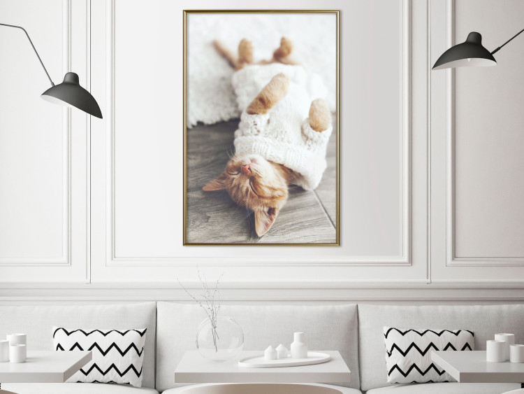 Poster Lazy Cat - brown animal in a white sweater on a wooden floor 124455 additionalImage 5