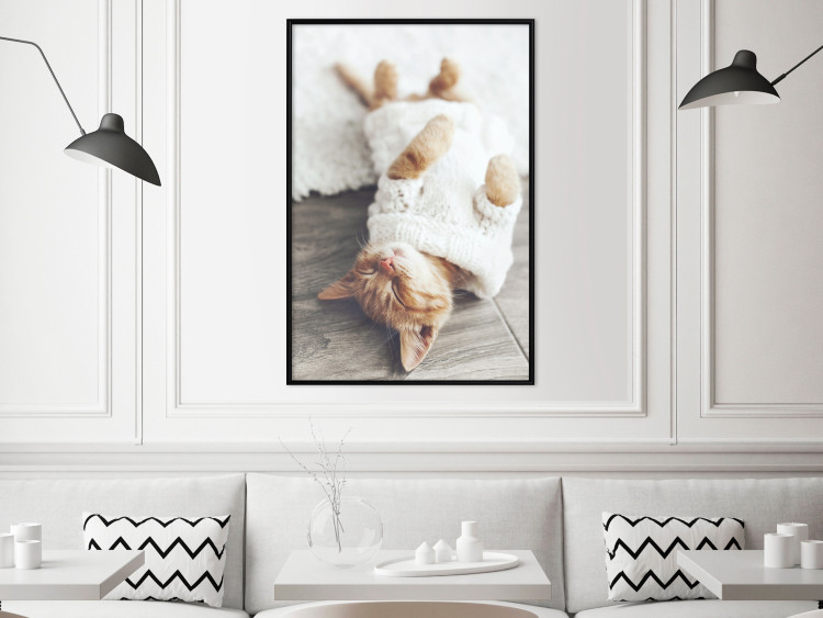 Poster Lazy Cat - brown animal in a white sweater on a wooden floor 124455 additionalImage 3