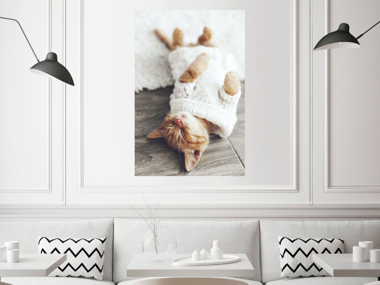 Poster Lazy Cat - brown animal in a white sweater on a wooden floor 124455 additionalImage 17