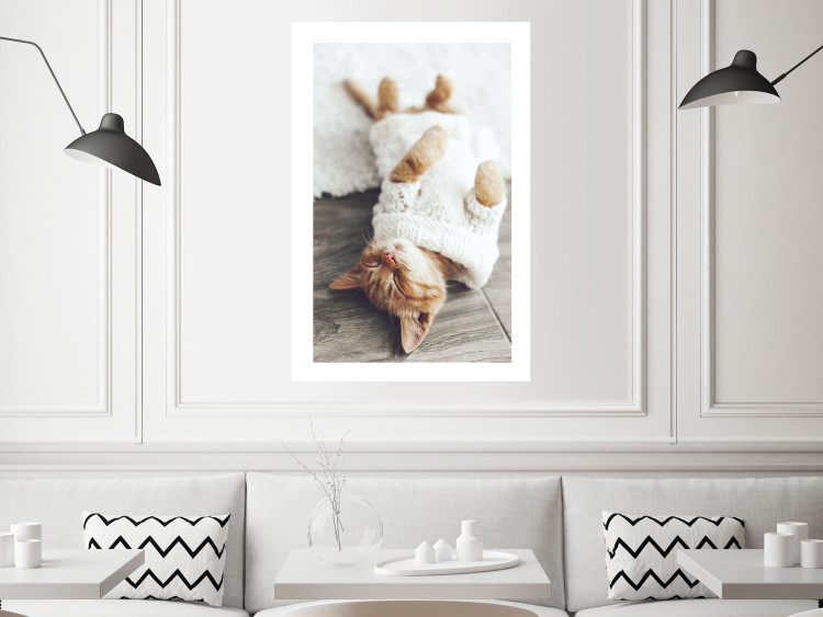 Poster Lazy Cat - brown animal in a white sweater on a wooden floor 124455 additionalImage 2