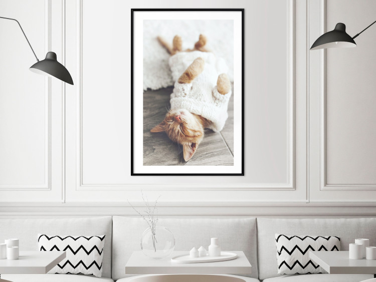 Poster Lazy Cat - brown animal in a white sweater on a wooden floor 124455 additionalImage 4