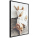 Poster Lazy Cat - brown animal in a white sweater on a wooden floor 124455 additionalThumb 10
