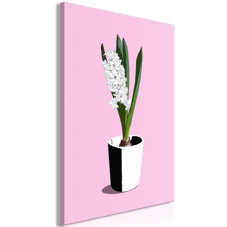 Canvas Art Print White hyacinth in black and white pot - composition on pink background 127255 additionalImage 2