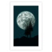 Wall Poster Beautiful Full Moon - sky and forest tree landscape against the night backdrop 129155 additionalThumb 19