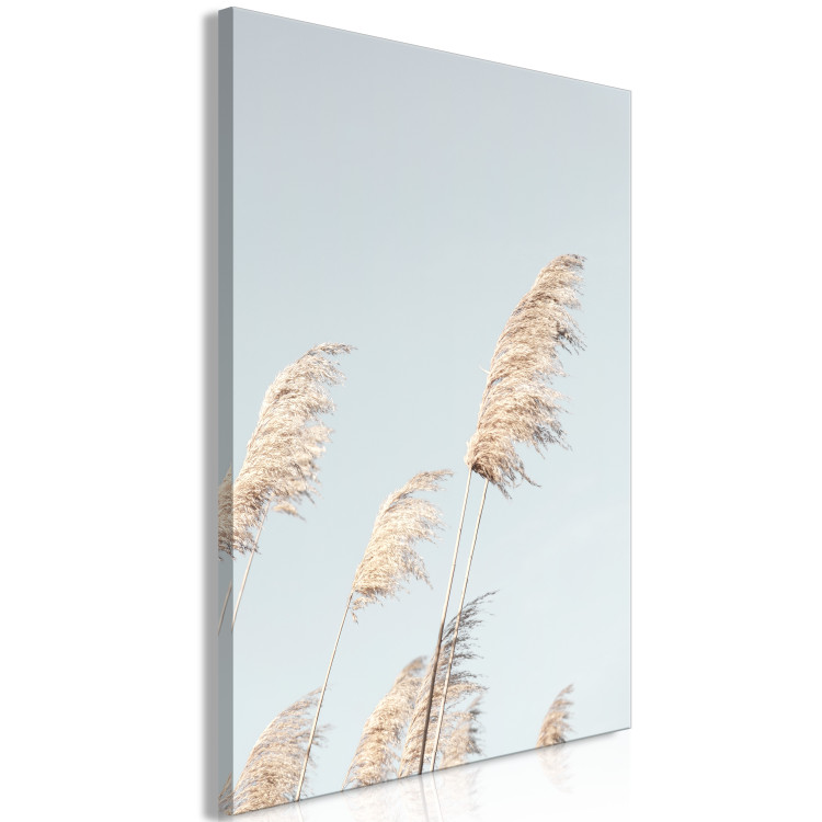Canvas Art Print Feathered Ephemera (1-part) vertical - meadow landscape in boho style 129455 additionalImage 2