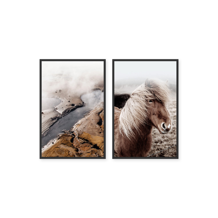 Posters collage Icelandic Fauna 131555 additionalImage 1