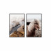Posters collage Icelandic Fauna 131555 additionalThumb 1