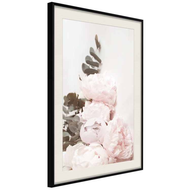 Poster Vanilla Peonies - a romantic composition with flowers on a light background 136455 additionalImage 20