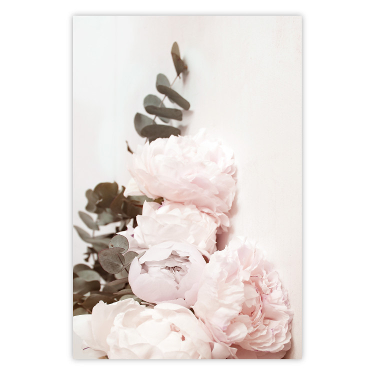 Poster Vanilla Peonies - a romantic composition with flowers on a light background 136455