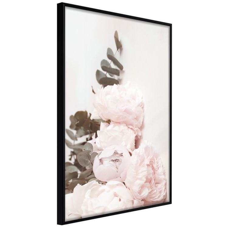 Poster Vanilla Peonies - a romantic composition with flowers on a light background 136455 additionalImage 27