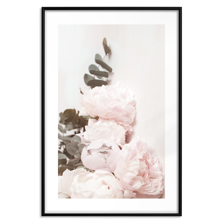 Poster Vanilla Peonies - a romantic composition with flowers on a light background 136455 additionalImage 6