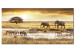 Canvas Art Print Dream about Africa 58555