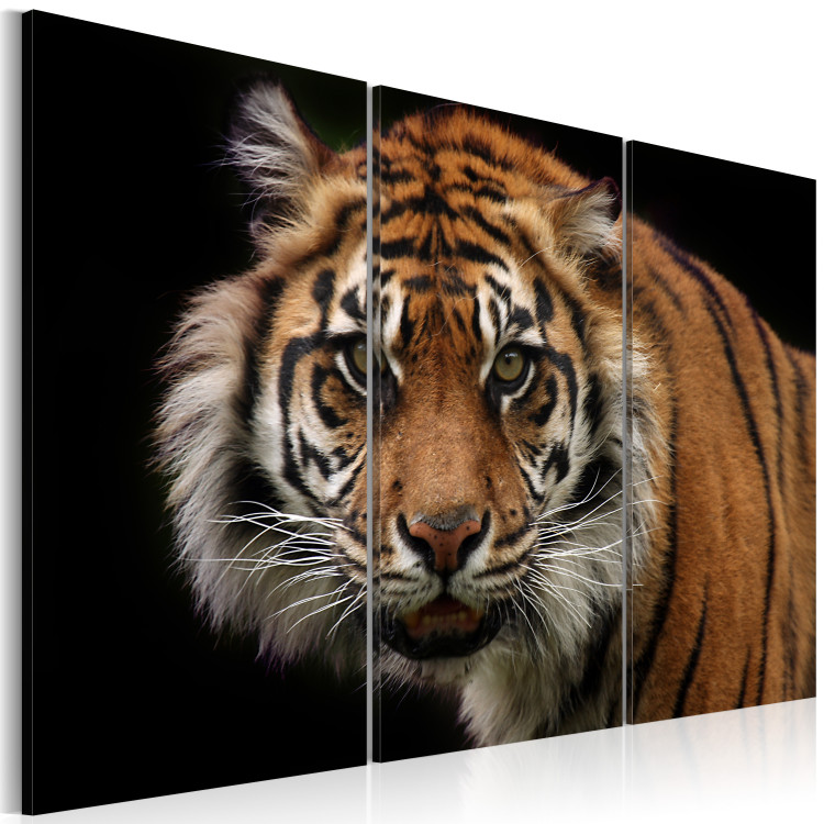 Canvas Art Print A wild tiger 58755 additionalImage 2