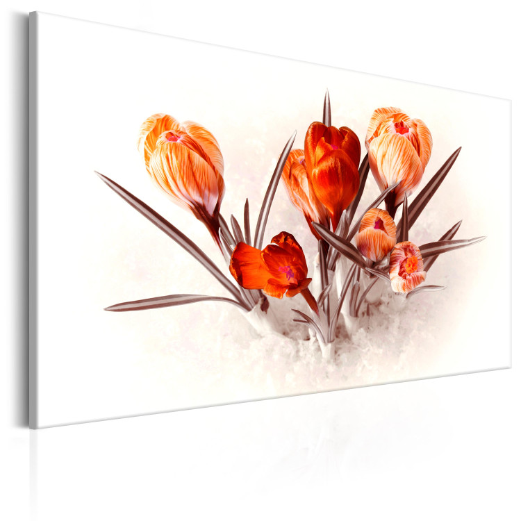 Canvas Art Print Red Crocuses (1-piece) - Romantic Bouquet of Spring Flowers 98555 additionalImage 2