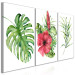 Canvas Print Red Hibiscus (3 Parts) 108565 additionalThumb 2
