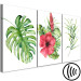 Canvas Print Red Hibiscus (3 Parts) 108565 additionalThumb 6