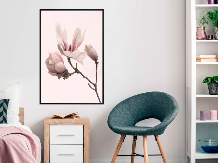 Wall Poster Blooming Flowers - delicate pink magnolias on a branch and pastel background 117165 additionalImage 5