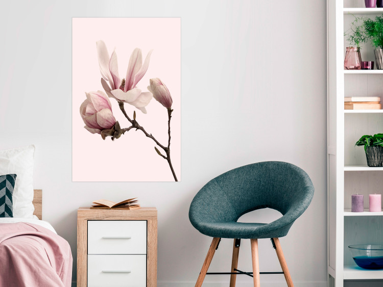 Wall Poster Blooming Flowers - delicate pink magnolias on a branch and pastel background 117165 additionalImage 23