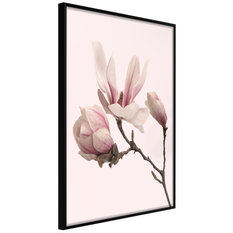 Wall art in set Flowers and Art 124894 additionalImage 4