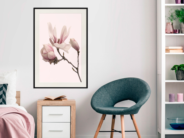 Wall Poster Blooming Flowers - delicate pink magnolias on a branch and pastel background 117165 additionalImage 22